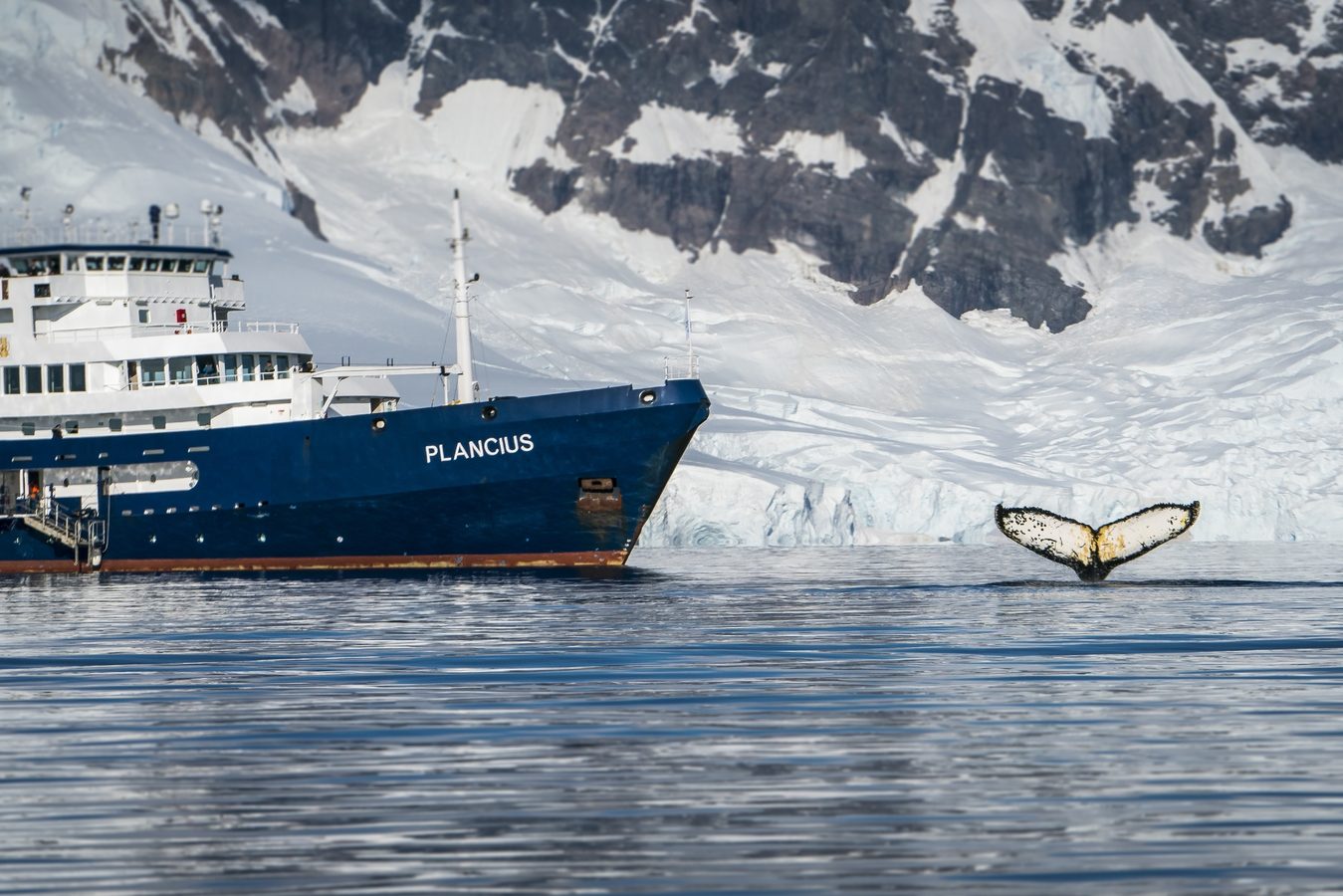 M/V Plancius
